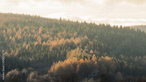 mountains in the fog in autumn © eliyashevskiy