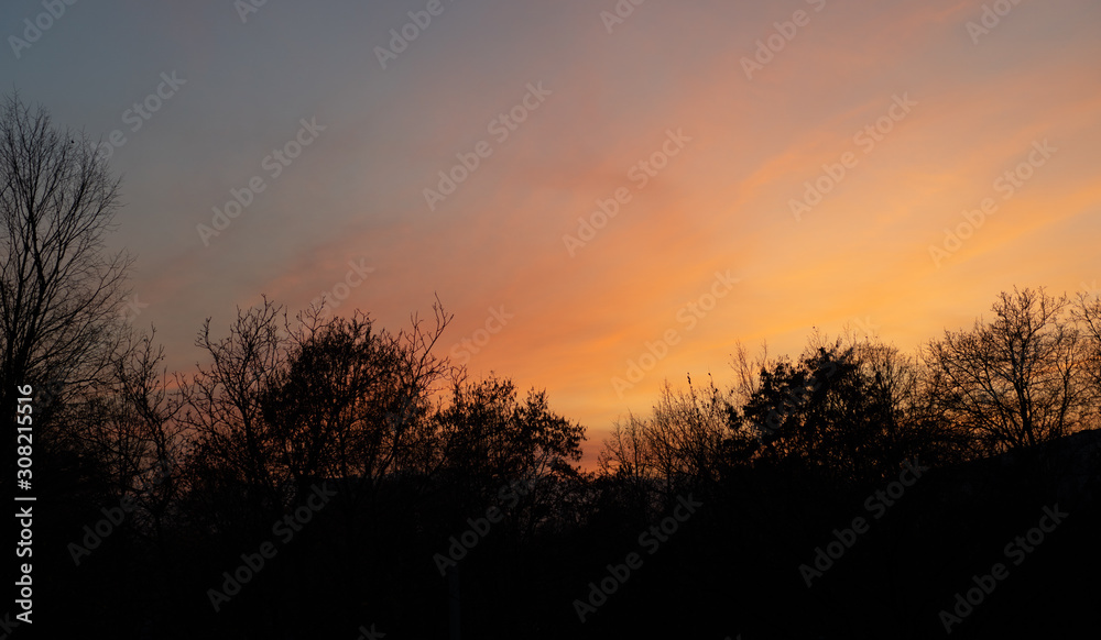 Autumn sky and trees at sunset