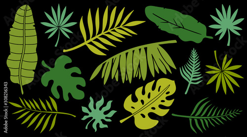 Leaves set. Tropical plants