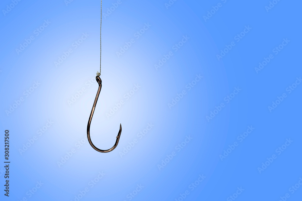 fish hook twist on a cord, blue background