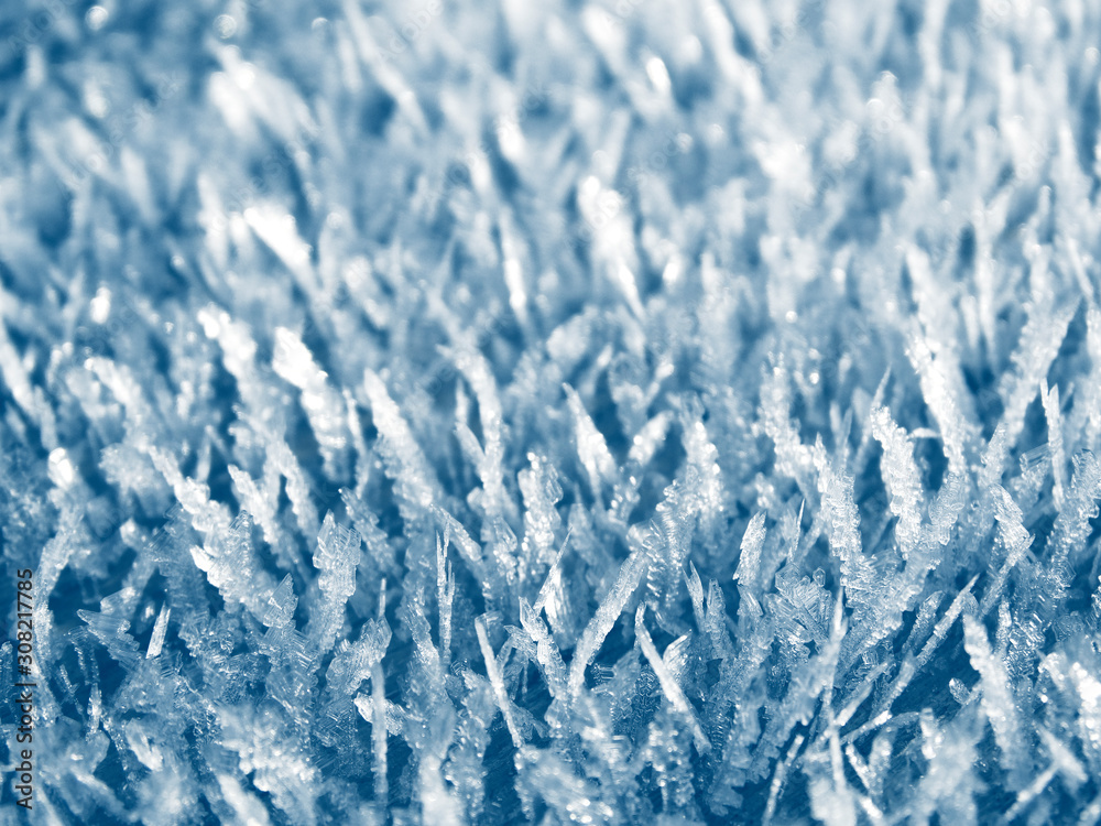 Fototapeta premium winter background with snowflakes crystals patterns and snow on frozen grass