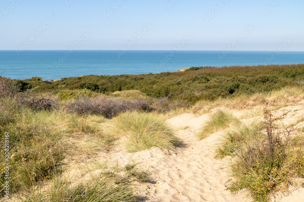 Dunes de l'espace naturel sensible des dunes d'Ecault - Côte d'Opale - Pas-de-Calais