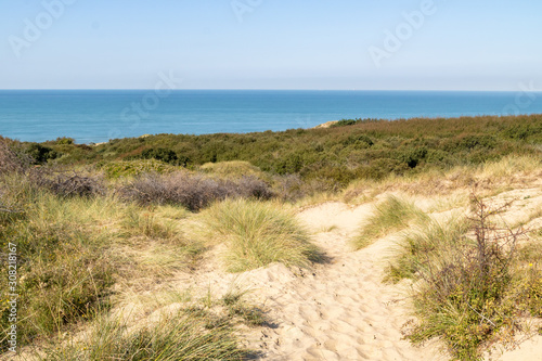 Dunes de l espace naturel sensible des dunes d Ecault - C  te d Opale - Pas-de-Calais