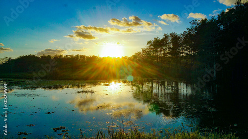 Louisiana swamp sunset and silhouettes