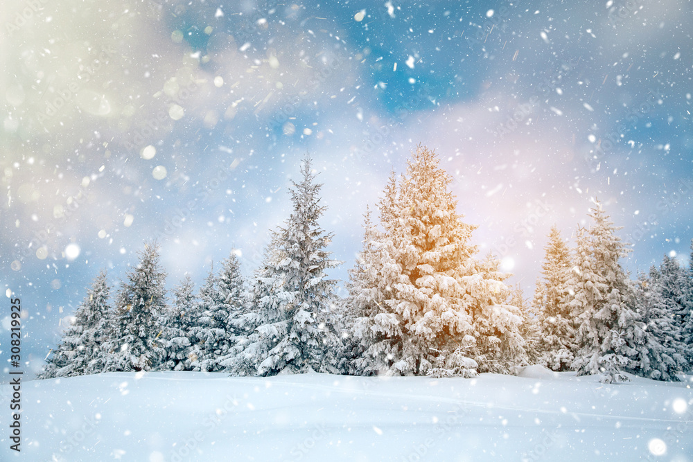 Scenic winter landscape with snowy fir trees. Winter postcard.