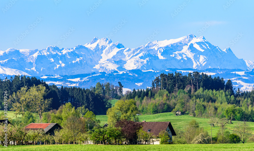 typische Frühlings-Szenerie nahe des Bodensees mit den schneebedeckten Bergen des Alpstein-Massivs im Hintergrund