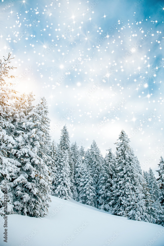 Scenic winter landscape with snowy fir trees. Winter postcard.