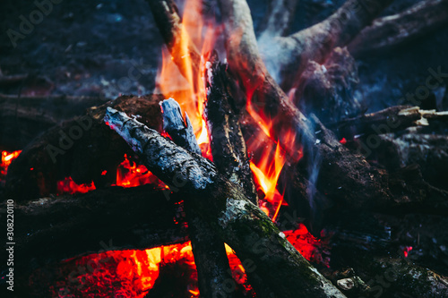 Fire on wooden or firewood at night on the dark or black light background.