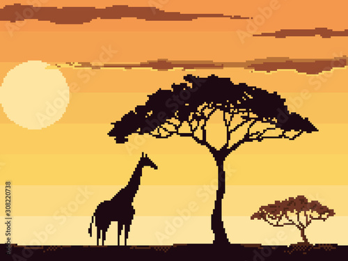 Sunset in Africa with giraffe and trees, savanna landscape vector illustration. Pixel art. 8 bit. 
