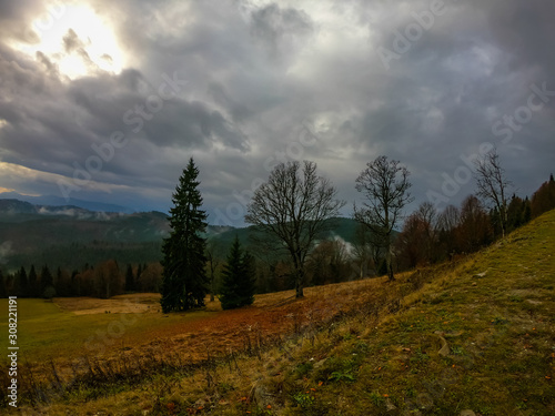 Autumn landscape background in the rain weather with fog