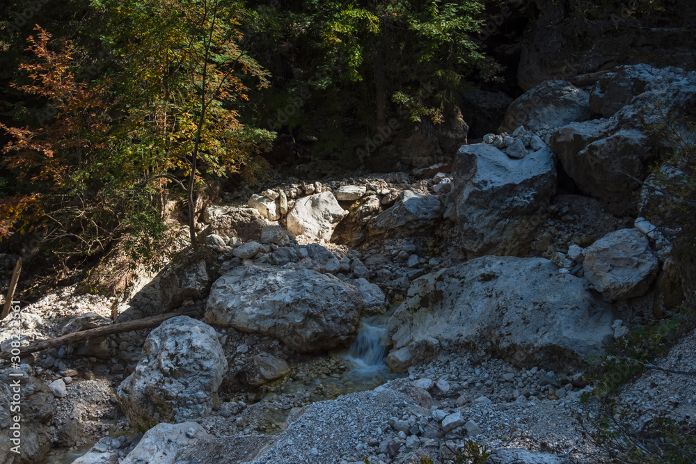 Alto Adige sunny day nature alps outdoor Alto Adige sunny day nature alps outdoor