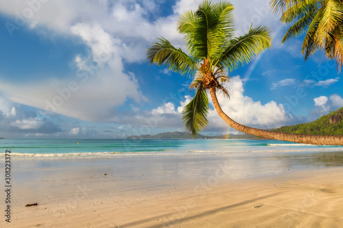 Sandy beach with palm trees and a sailing boats in the blue ocean on Paradise island. 