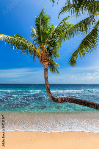 Tropical Paradise beach with white sand and coco palms. Summer vacation and tropical beach concept. 