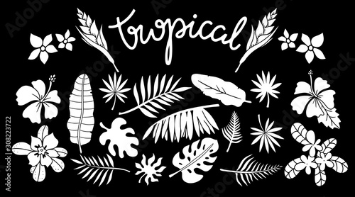 Tropical leaves, flowers set