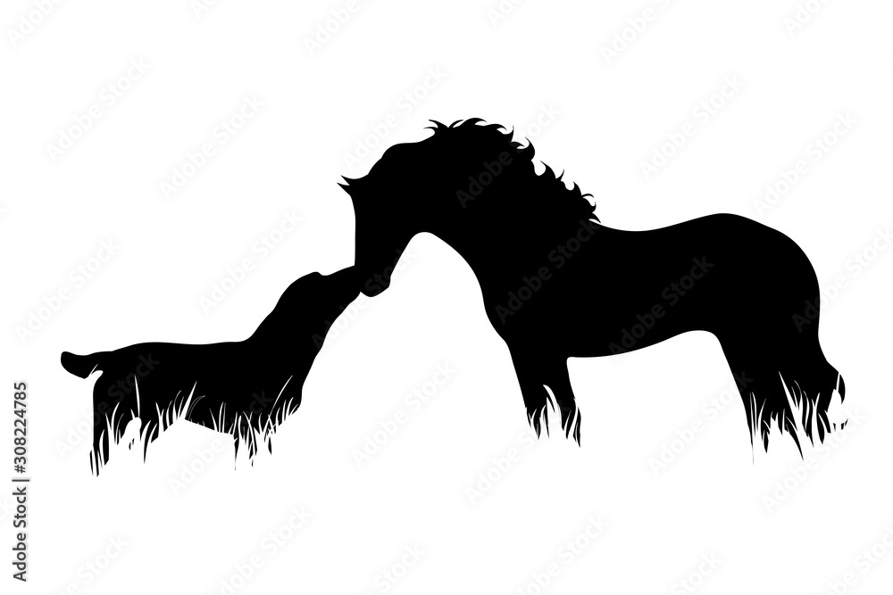 Vector silhouette of horse with dog in the grass on white background.  Symbol of animal, pet, friends, farm, nature, pasture. Stock Vector | Adobe  Stock