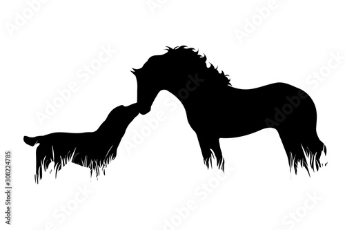 Vector silhouette of horse with dog in the grass on white background. Symbol of animal, pet, friends, farm, nature, pasture.
