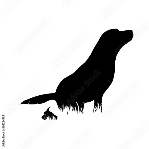 Vector silhouette of dog that does poop in the grass on white background. Symbol of animal, excrement, pet, nature, park, garden.