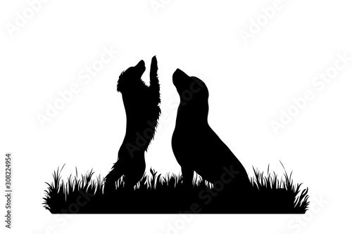 Vector silhouette of dogs in the grass on white background. Symbol of animal, pet, friends, nature, park, garden.