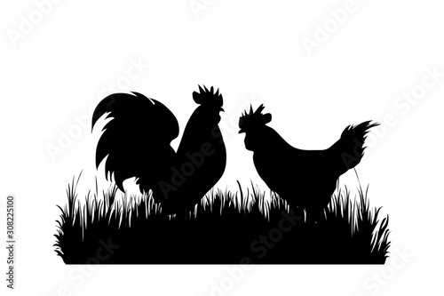 Vector silhouette of poultry in the grass on white background. Symbol of animal, hen, cock, bird, farm, nature, pasture.