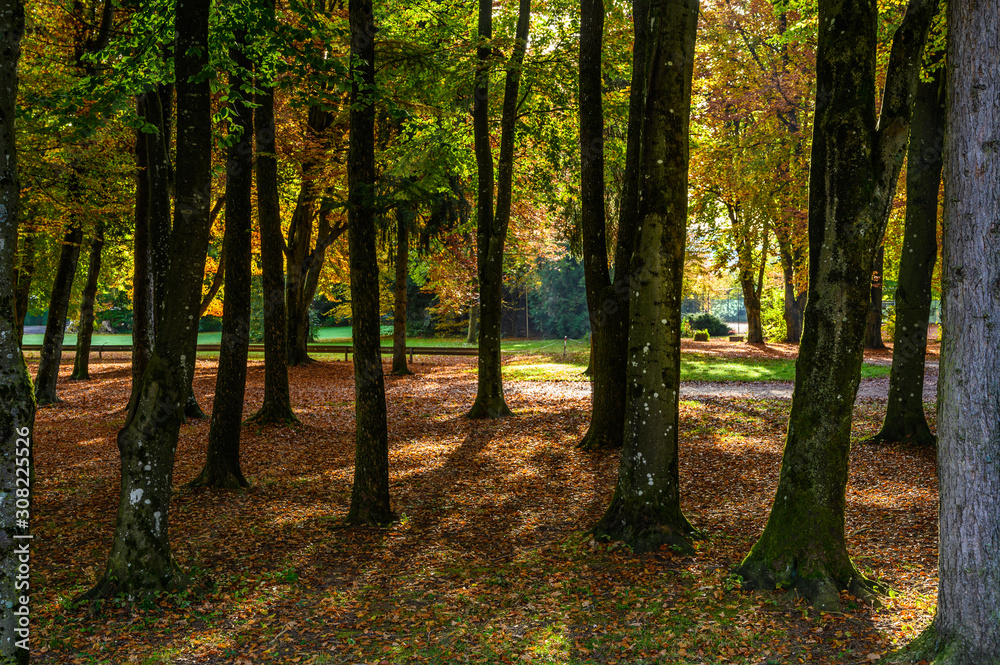 Herbst am Waginger See