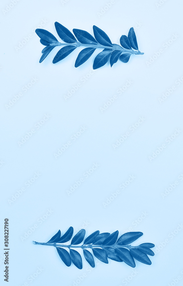 Branches of plant in trendy blue color, Branches of plant in trendy blue color,