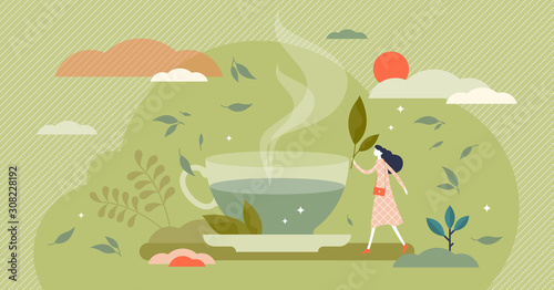 Green tea vector illustration. Herbal drink in flat tiny persons concept.