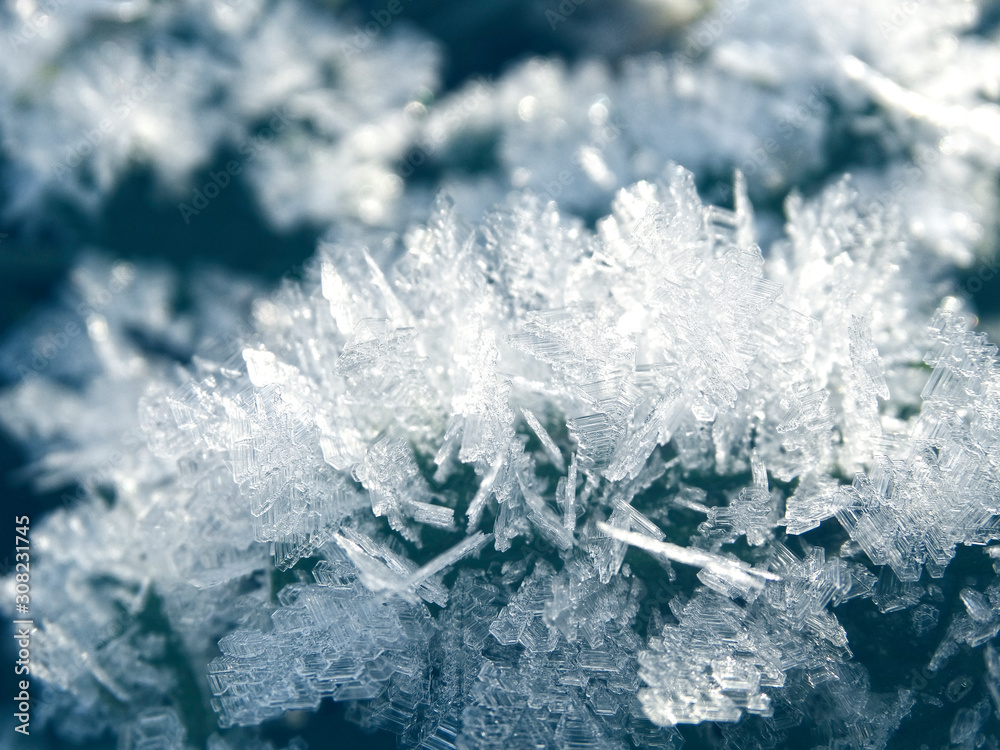 Fototapeta premium winter background with snowflakes crystals patterns and snow on frozen grass