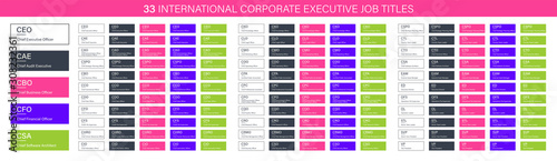 33 International corporate executive Job Titles, CEO CAE CBO CFO CSA CAO CCO CDO CFS CIO HR vector banners for web design, corporate organizational structure elements