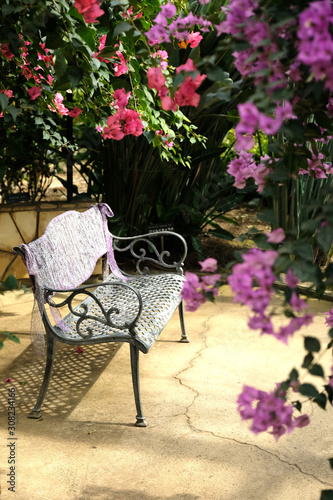  ブーゲンビリアの花の咲く中の陽だまりの椅子
