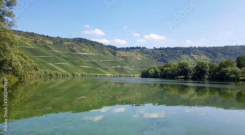 Weinberg, Kroever Nacktarsch, Grosslage, Mosel