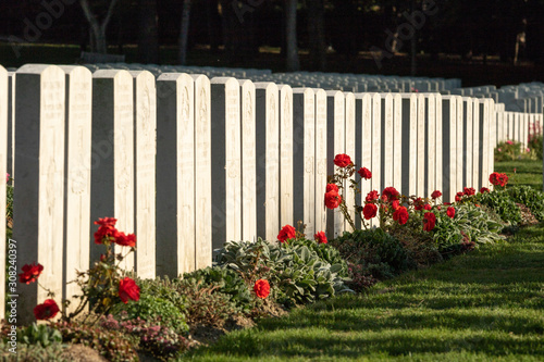 Alignements de stèles - Cimetière britannique d'Etaples-sur-Mer photo