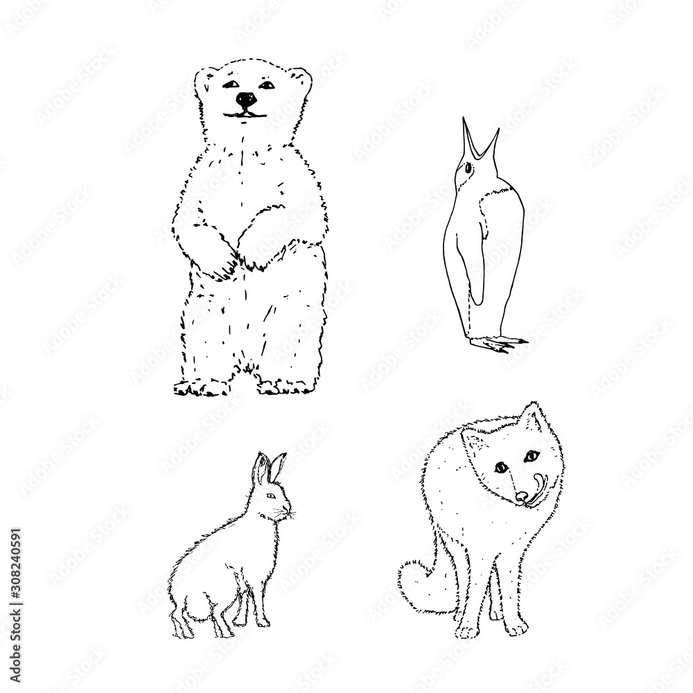 Set of northern winter animals: bear, penguin, rabbit, fox. Black outline  on white background. Picture can be used in greeting cards, posters,  flyers, banners, logo, further design etc. Vector Stock Vector |