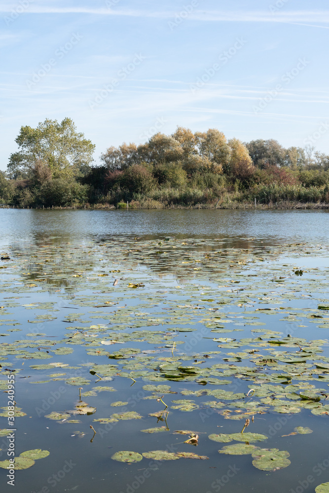 Etangs du Romelaëre, réserve naturelle nationale Etangs du Romelaëre, réserve naturelle nationale