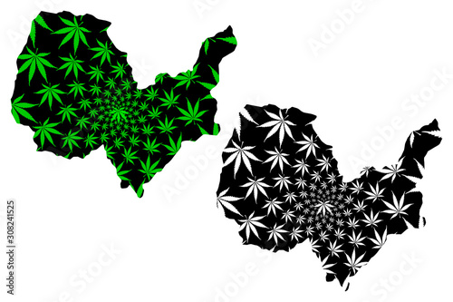 Kabul Province (Islamic Republic of Afghanistan, Provinces of Afghanistan) map is designed cannabis leaf green and black, Kabul map made of marijuana (marihuana,THC) foliage....