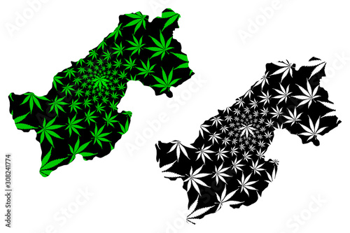 Paktia Province (Islamic Republic of Afghanistan, Provinces of Afghanistan) map is designed cannabis leaf green and black, Paktia map made of marijuana (marihuana,THC) foliage.... photo