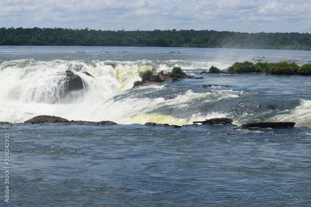 Fototapeta premium イグアスの滝 すぐ上流