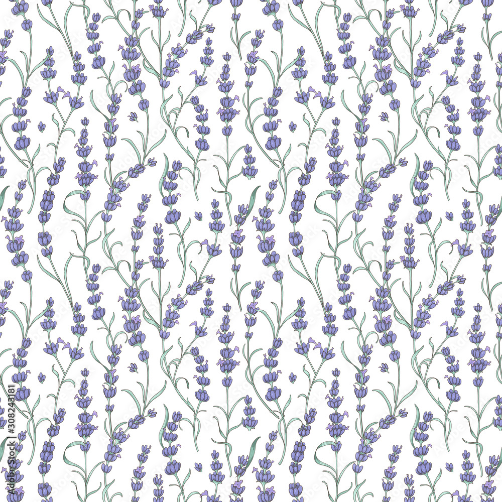 Fototapeta premium Beautiful Provence lavender digital illustration. Pattern for fabrics, packaging design, or wrapping paper. Seamless pattern with lavender flowers on white background.
