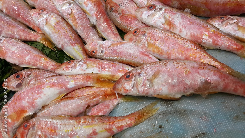 fresh marine fish for sale fresh marine fish for sale
