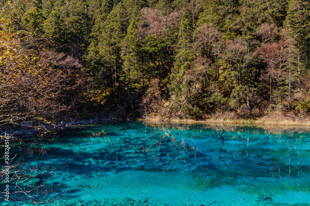 Naklejka premium Stuuning view of beautiful pond in Jiuzhaigou national park on a sunny autumn day