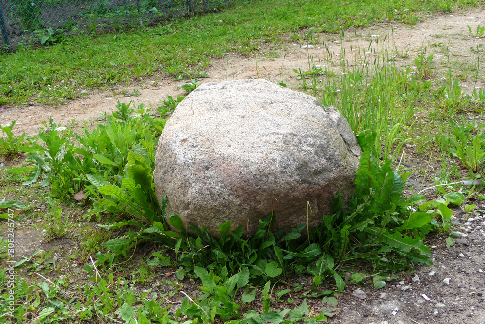 A large gray stone embedded in the ground. Green grass growing next to the stone. A large gray stone embedded in the ground. Green grass growing next to the stone.