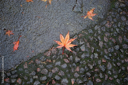 紅葉