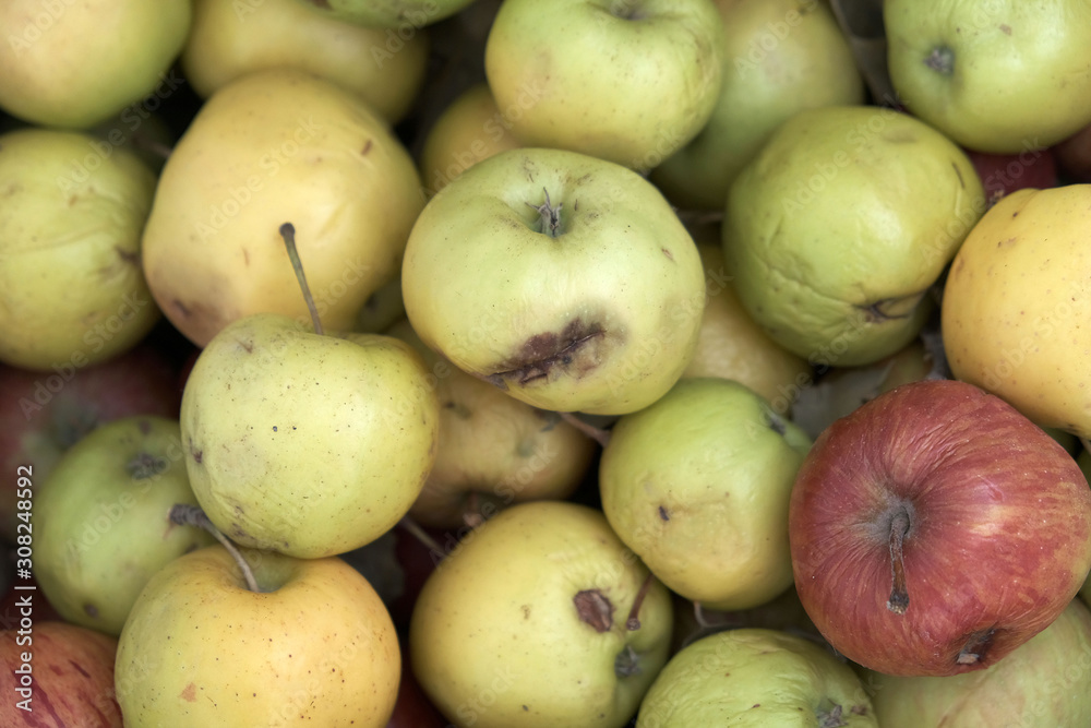 apples that start to rot in a crate, bad apples that are bad, apples that start to rot in a crate, bad apples that are bad,