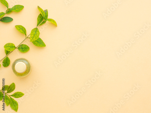 Fresh green leaves, natural cosmetics, body shower gel or liquid handmade soap
