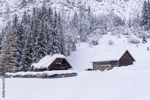 Stable, cowshed for cows and horses. Farm building built of stones and wood. Winter mountain landscape in the Alps. The building, trees and mountains covered with snow.