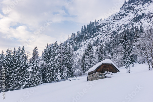 Traditional, old stable, cowshed for cows and horses. Farm building built of stones and wood. Winter mountain landscape in the Alps. The building, trees and mountains covered with snow.