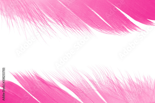 Beautiful frame purple magenta feather isolated on white background with copy space