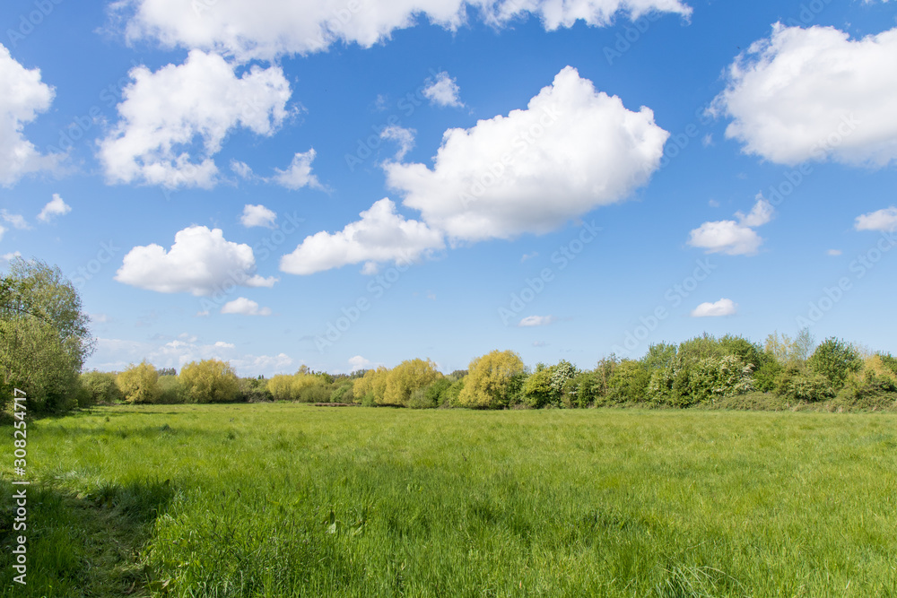 Pâture le long du chemin de Tourne Puits (Espace Naturel Sensible)