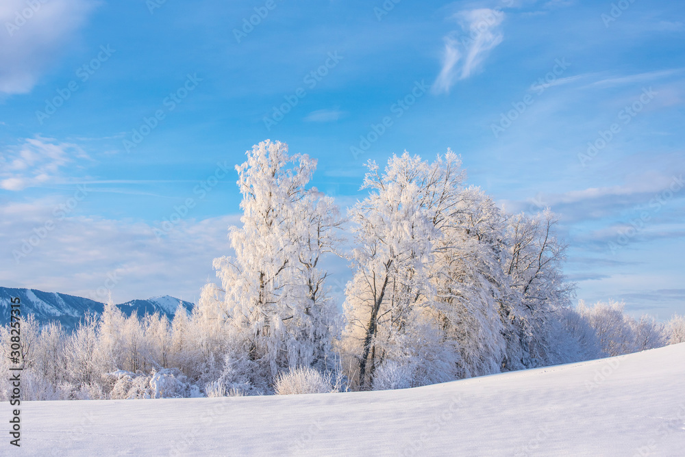 Winterzauber, verschneite Winterlandschaft, Bäume mit Schnee Winterzauber, verschneite Winterlandschaft, Bäume mit Schnee