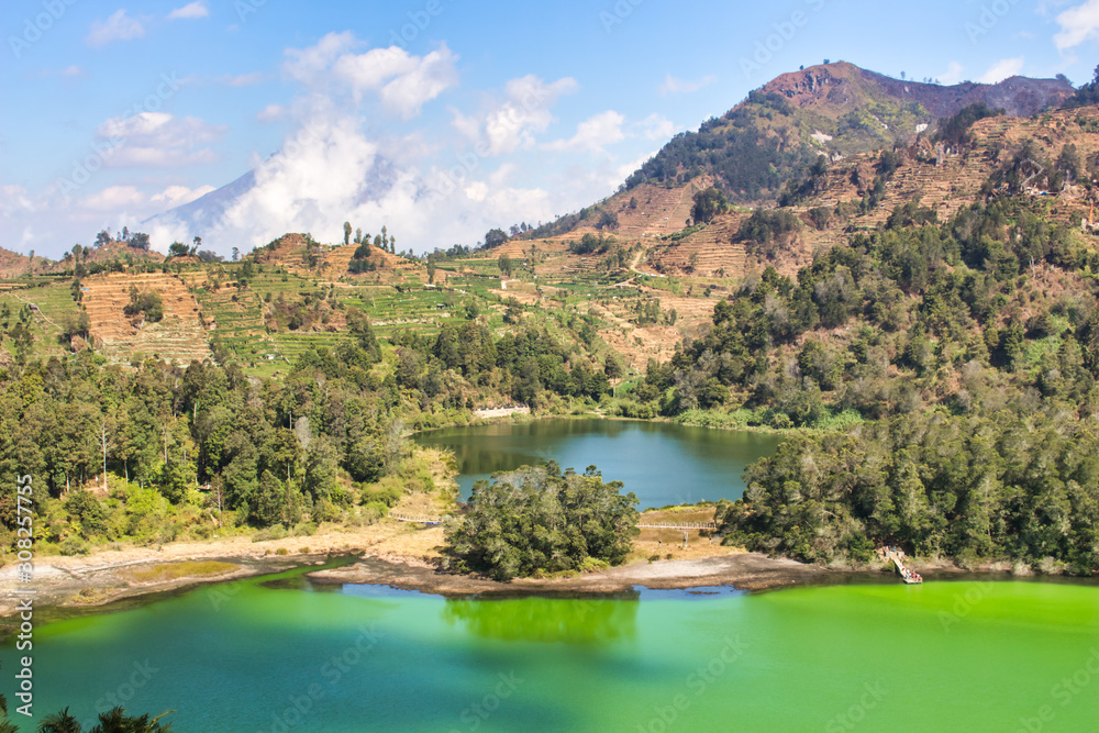 beautiful landscape view of the Telaga Warna lake surrounded by trees, taken from the height area/aerial view, selectively focused