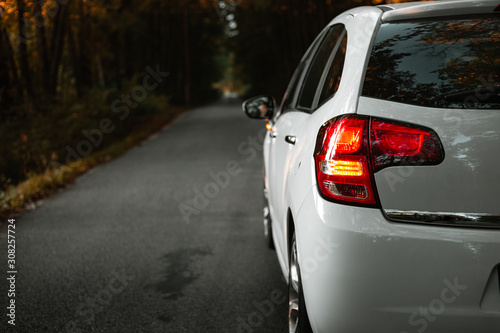 Side mirror turn signal (blinker). Turn indicator on the mirror (left) and white car on the road in autumn dark forest. Illuminated car standing on the edge of the way in forest - natural sunlight.